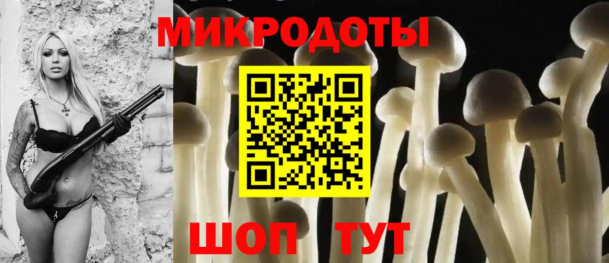 Псилоцибиновые грибы Magic Shrooms  наркошоп  Комсомольск-на-Амуре  Галлюциногенные грибы Magic Shrooms  Вход с VPN 